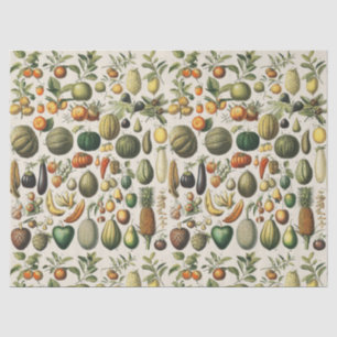 Antieke Franse botanische fruitposter kunst Tissuepapier