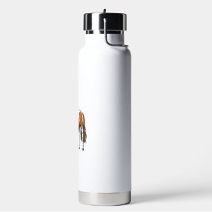 Antieke Gegraveerde Pinto Paard Vector Ontwerp_1 Waterfles