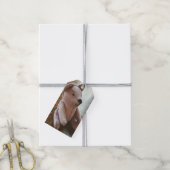 Antieke genaaide teddybeer fotografie cadeaulabel (Met Touw)