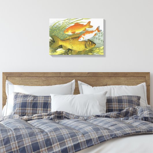 Antieke Goudvis Koi Vis, Zeeleven in de Zee Canvas Afdruk (Insitu (Slaapkamer))