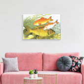 Antieke Goudvis Koi Vis, Zeeleven in de Zee Canvas Afdruk (Insitu (Woonkamer))