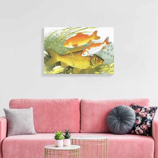 Antieke Goudvis Koi Vis, Zeeleven in de Zee Canvas Afdruk (Insitu (Woonkamer))