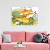 Antieke Goudvis Koi Vis, Zeeleven in de Zee Canvas Afdruk (Insitu (Woonkamer))