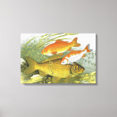 Antieke Goudvis Koi Vis, Zeeleven in de Zee Canvas Afdruk (Voorkant)