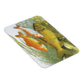 Antieke Goudvis Koi Vis, Zeeleven Magneet (Rechterzijde)