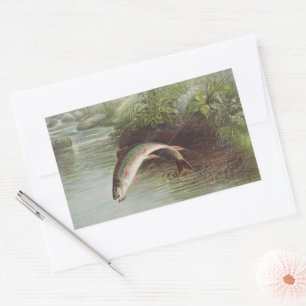Antieke gravure springende beekforel vliegvissen rechthoekige sticker