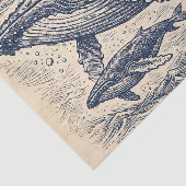 Antieke Gravure van een Potvispod Tissuepapier (Detail)