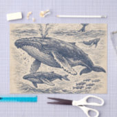 Antieke Gravure van een Potvispod Tissuepapier (Craft)