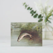 Antieke gravure van springende beekforel voor het briefkaart (Staand voorkant)