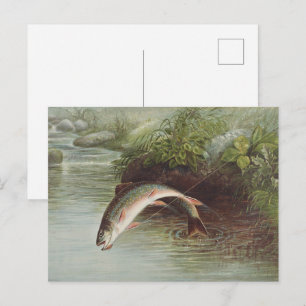 Antieke gravure van springende beekforel voor het  briefkaart