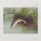Antieke gravure van springende beekforel voor het briefkaart (Voorkant)