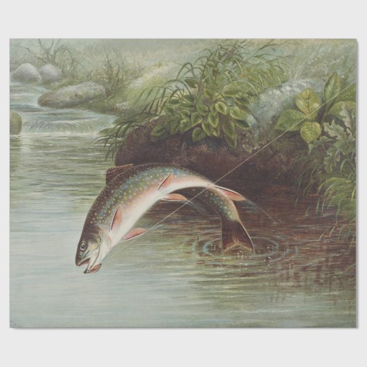 Antieke gravure van springende beekforel voor het cadeaupapier (Vlak)