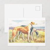 Antieke Greyhound Briefkaart (Voorkant / Achterkant)