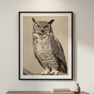 Antieke Grote Uil Sepia Vogel Poster
