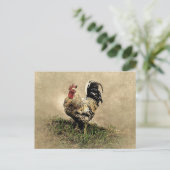 Antieke Haan in het Gras Briefkaart (Staand voorkant)