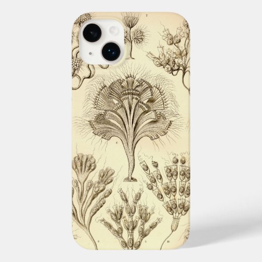 Antieke Haeckel Case-Mate iPhone Case (Achterkant)