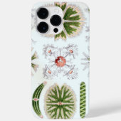 Antieke Haeckel Case-Mate iPhone Case (Achterkant)