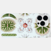 Antieke Haeckel Case-Mate iPhone Case (Achterkant (horizontaal))