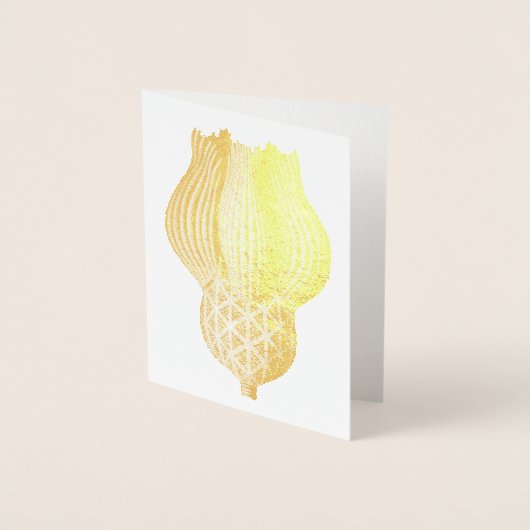 Antieke Haeckel Folie Kaarten (Voorkant)