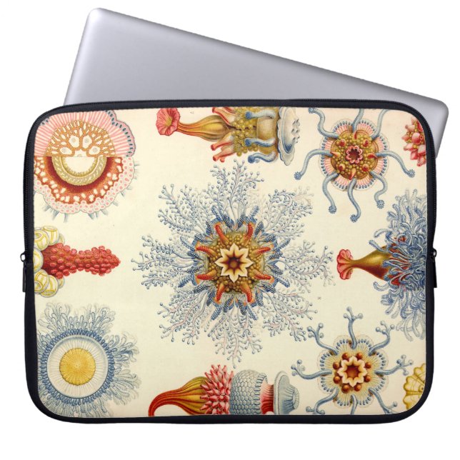Antieke Haeckel Laptop Sleeve (Voorkant)