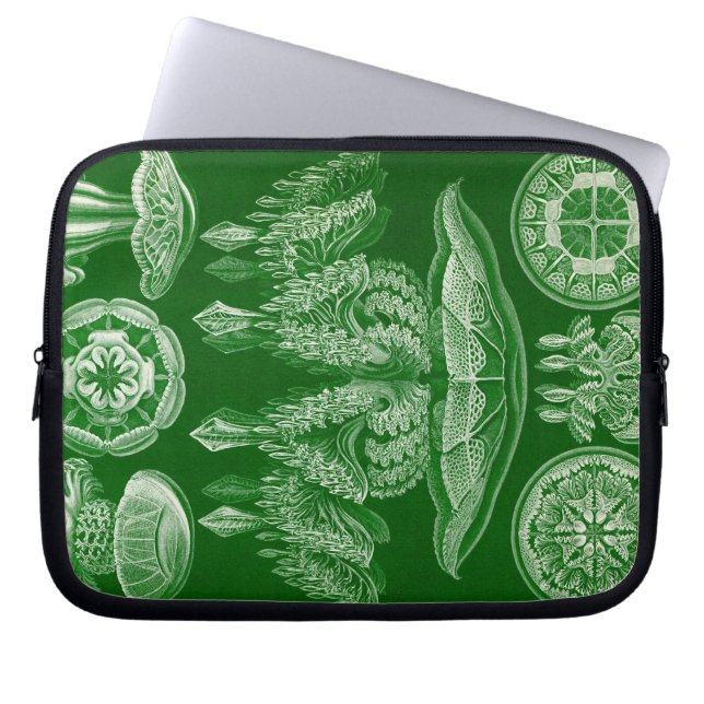Antieke Haeckel Laptop Sleeve (Voorkant)
