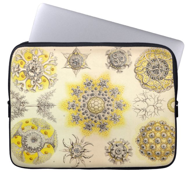 Antieke Haeckel Laptop Sleeve (Voorkant)