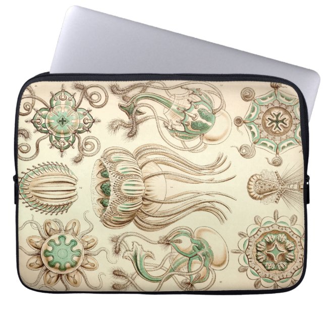 Antieke Haeckel Laptop Sleeve (Voorkant)