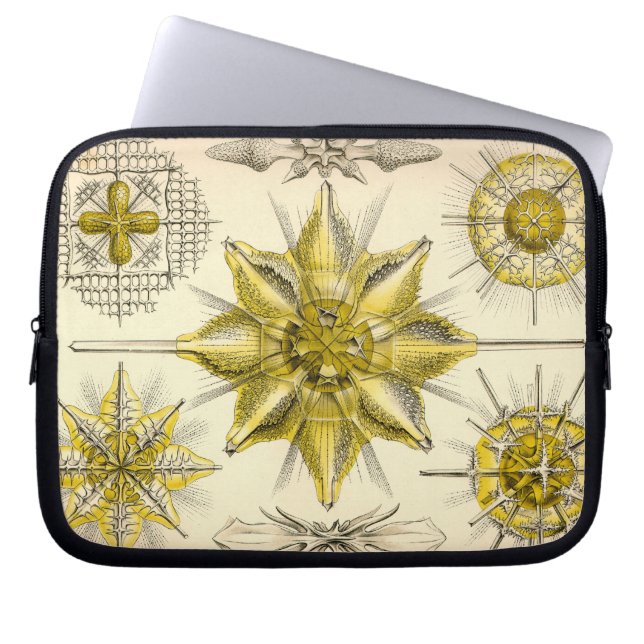 Antieke Haeckel Laptop Sleeve (Voorkant)