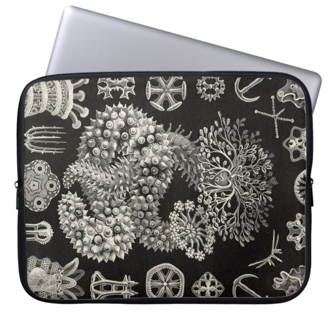 Antieke Haeckel Laptop Sleeve (Voorkant)