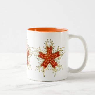 Antieke Haeckel Zeester Tweekleurige Koffiemok