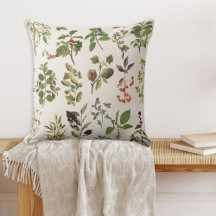Antieke Herbarium Groene Plant Kaart