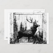Antieke Herten Ree Zwart Wit Dier Briefkaart (Voorkant / Achterkant)