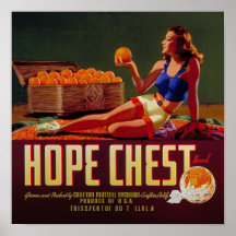 Antieke Hope Chest merk Sinaasappels Fruit Label