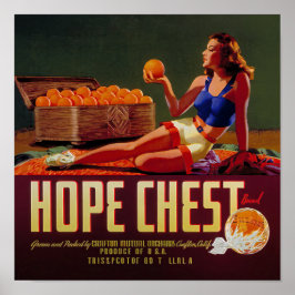 Antieke Hope Chest merk Sinaasappels Fruit Label Poster