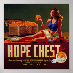 Antieke Hope Chest merk Sinaasappels Fruit Label Poster
