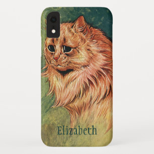 Antieke huisdieren, Langharige oranje kat iPhone XR Hoesje