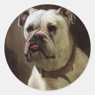 Antieke huisdieren, portret van Boxer puppy Ronde Sticker