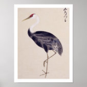 Antieke illustratie: Kraanvogel Poster (Voorkant)