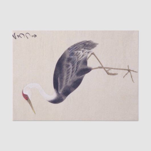 Antieke illustratie: Kraanvogel Tissuepapier (Voorkant)