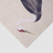 Antieke illustratie: Kraanvogel Tissuepapier (Detail)