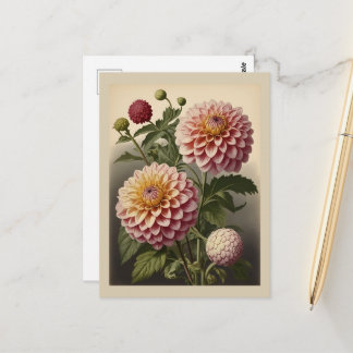 Antieke illustratie van een dahlia briefkaart