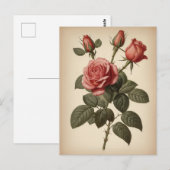 Antieke illustratie van een roos briefkaart (Voorkant / Achterkant)