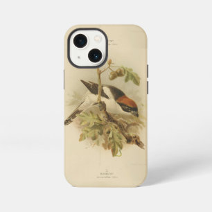 Antieke illustratie van roodkopklauwier iPhone 13 mini hoesje