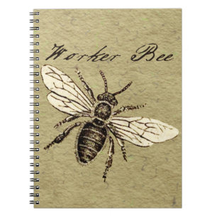 Antieke illustratie van werkbij - vintage insect notitieboek