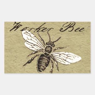 Antieke illustratie van werkbij - vintage insect rechthoekige sticker