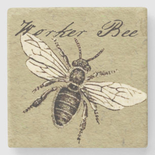 Antieke Illustratie van Werkbij - Vintage Insect Stenen Onderzetter