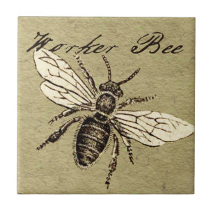 Antieke Illustratie van Werkbij - Vintage Insect Tegeltje