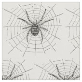 Antieke illustratie van zwarte en witte spin stof (Close Up)