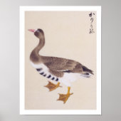 Antieke illustratie: Wilde gans Poster (Voorkant)