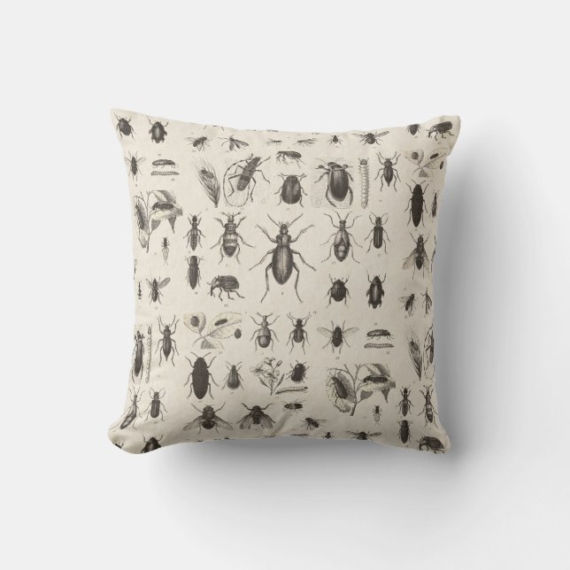 Antieke insecten Entomologie Kussen (Voorkant)